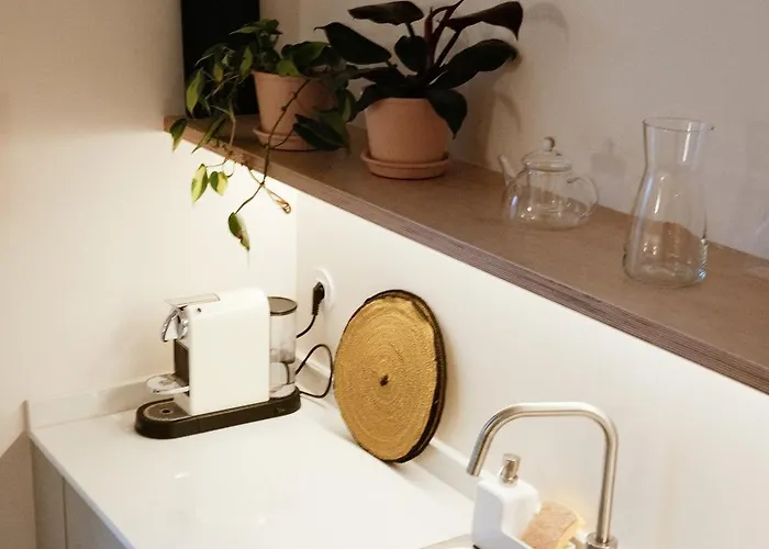 Apartamento Corujeira By Myalplace