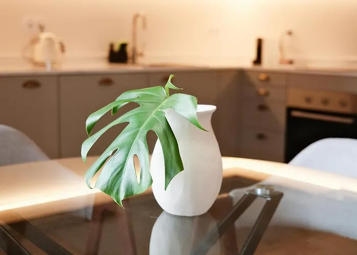 Corujeira By Myalplace *