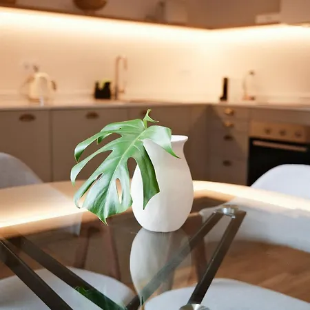 Corujeira By Myalplace *